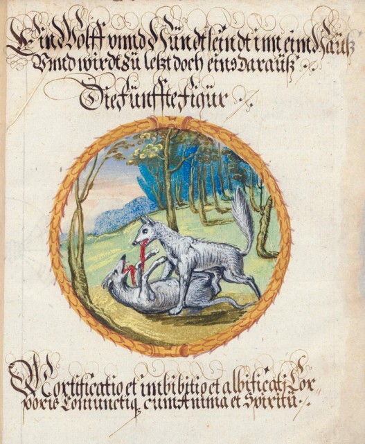 The Book of Lambspring, 1556, Figure 5, Zentralbibliothek Zürich, Ms P 2177